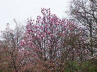 01-05kodak_001