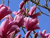 12-04-2007_11-04-38_05