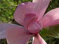 12-05-05kodak_155