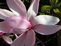 12-05-05kodak_156