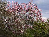 2010-05-11_18-26-30_0048