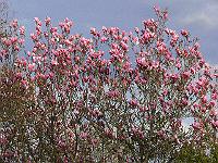 2010-05-11_18-26-45_0050