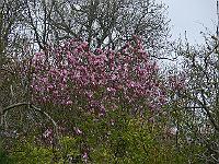 2010-05-13_07-47-35_0050