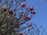 2011-04-20_15-53-59_0370