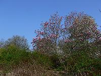 2011-04-22_08-22-34_0114