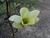 2010-04-19_10-13-56_0093