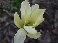 2010-04-19_18-46-19_0108