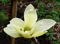 2010-04-20_15-13-42_0060