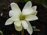 2010-04-26_18-12-17_0009