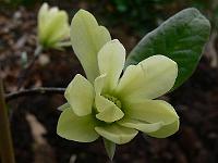 2010-05-03_08-14-07_0023