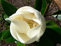 2008-07-28_08-04-06_0031