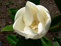 2008-07-28_08-04-06_0066