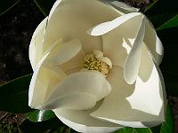 2008-07-28_09-37-44_0015