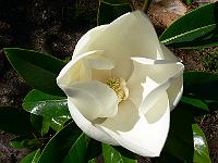 2008-07-28_09-37-44_0036