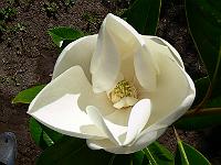2008-07-28_09-37-44_0045
