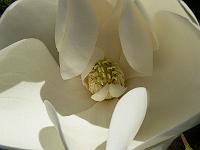 2008-07-28_09-37-44_0048