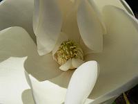 2008-07-28_09-37-44_0051