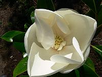 2008-07-28_09-37-44_0060