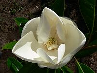 2008-07-28_09-37-44_0061