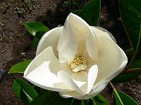 2008-07-28_09-37-44_0067