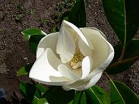 2008-07-28_11-44-47_0009