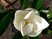 2008-07-28_11-44-47_0015