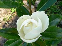2008-07-28_11-44-47_0030