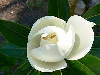 2008-07-28_11-44-47_0052