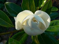 2008-07-28_11-44-47_0067