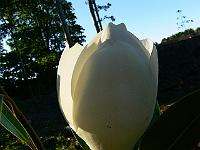 2008-07-28_11-44-47_0093