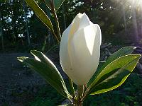 2008-07-28_11-44-47_0096