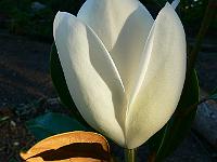 2008-07-28_11-44-47_0150