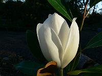 2008-07-28_11-44-47_0157