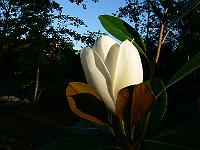 2008-07-28_11-44-47_0166