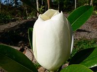 2008-07-28_08-04-06_0018