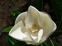 2008-07-28_09-37-44_0064