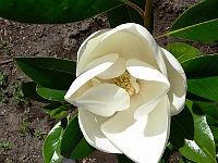 2008-07-28_11-44-47_0027