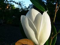 2008-07-28_11-44-47_0088