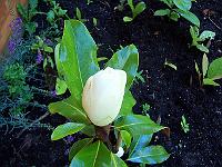 06-08-05kodak_024