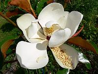 2009-07-19_15-37-33_0045