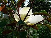 2009-07-19_15-38-56_0061