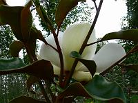 2009-07-19_16-42-52_0084