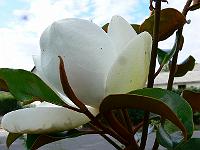 2009-07-19_16-43-04_0087