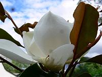 2009-07-19_16-43-34_0093