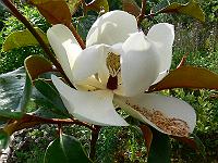 2009-07-20_08-11-53_0015