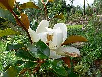 2009-07-20_08-13-41_0021