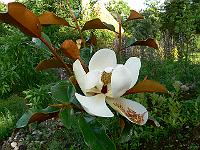 2009-07-20_17-09-34_0060