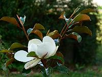 2009-07-20_17-11-49_0079