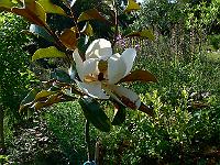2009-07-21_07-25-56_0019