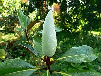 2009-08-18_07-50-26_0061